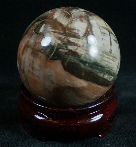Colorful Petrified Wood Sphere #6790